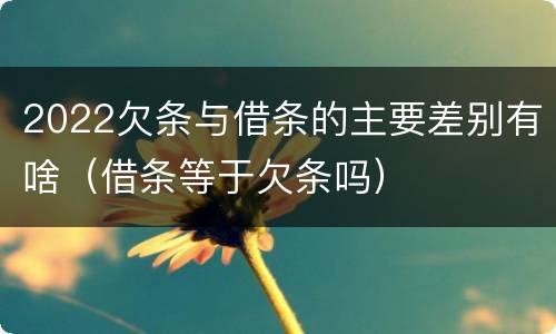 2022欠条与借条的主要差别有啥（借条等于欠条吗）