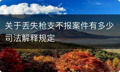 关于丢失枪支不报案件有多少司法解释规定