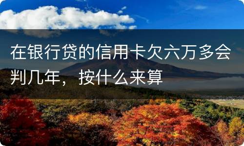 在银行贷的信用卡欠六万多会判几年，按什么来算