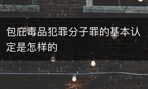 包庇毒品犯罪分子罪的基本认定是怎样的