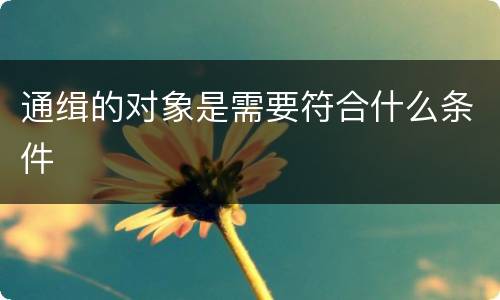 通缉的对象是需要符合什么条件