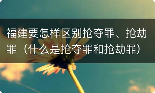 福建要怎样区别抢夺罪、抢劫罪（什么是抢夺罪和抢劫罪）