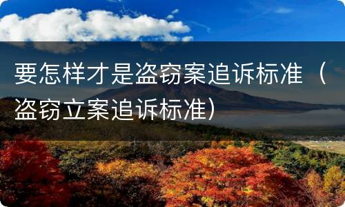 要怎样才是盗窃案追诉标准（盗窃立案追诉标准）