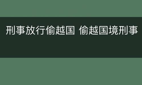 刑事放行偷越国 偷越国境刑事