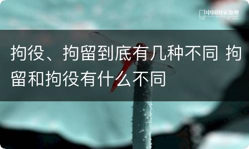 拘役、拘留到底有几种不同 拘留和拘役有什么不同