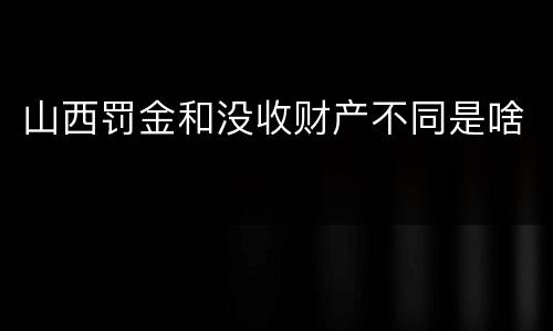 山西罚金和没收财产不同是啥