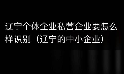 辽宁个体企业私营企业要怎么样识别（辽宁的中小企业）