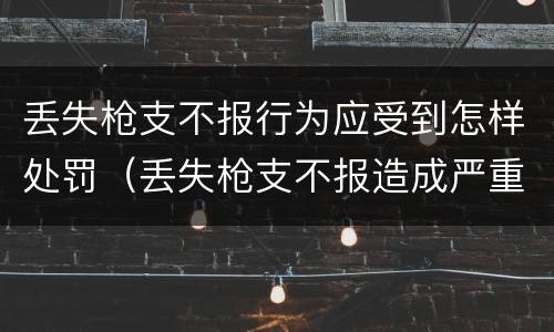 丢失枪支不报行为应受到怎样处罚（丢失枪支不报造成严重后果）