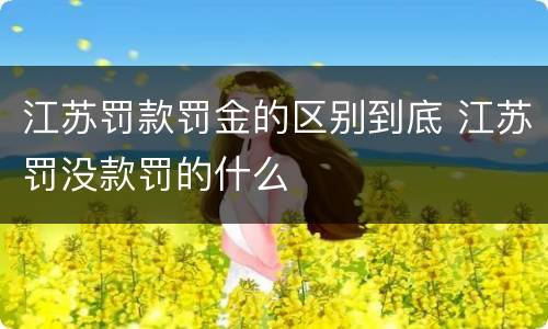 江苏罚款罚金的区别到底 江苏罚没款罚的什么