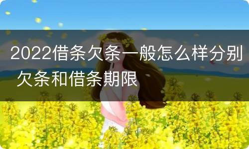 2022借条欠条一般怎么样分别 欠条和借条期限