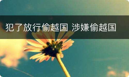 犯了放行偷越国 涉嫌偷越国