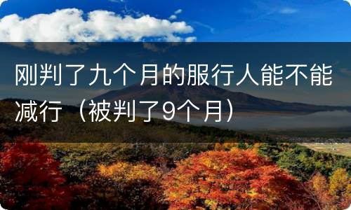 刚判了九个月的服行人能不能减行（被判了9个月）