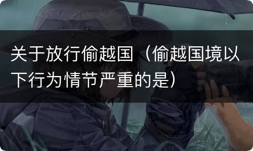 关于放行偷越国（偷越国境以下行为情节严重的是）
