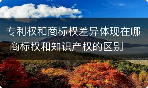 专利权和商标权差异体现在哪 商标权和知识产权的区别