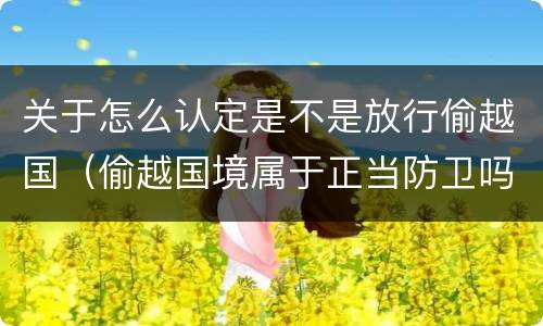 关于怎么认定是不是放行偷越国（偷越国境属于正当防卫吗）