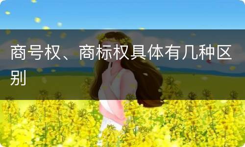 商号权、商标权具体有几种区别