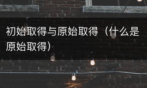 初始取得与原始取得（什么是原始取得）