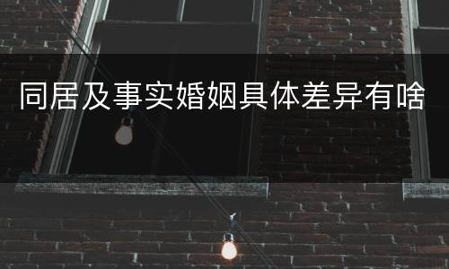 同居及事实婚姻具体差异有啥
