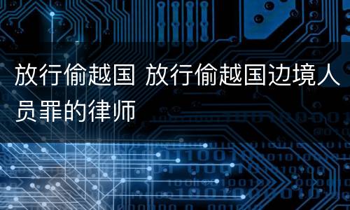 放行偷越国 放行偷越国边境人员罪的律师