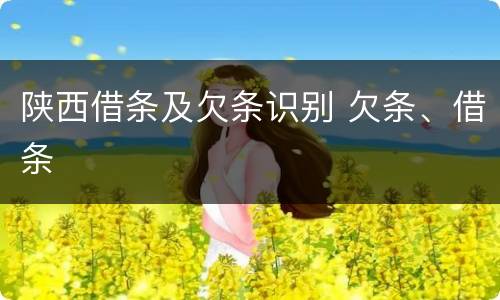 陕西借条及欠条识别 欠条、借条