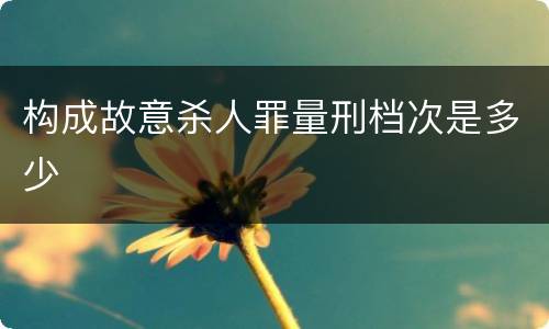 构成故意杀人罪量刑档次是多少