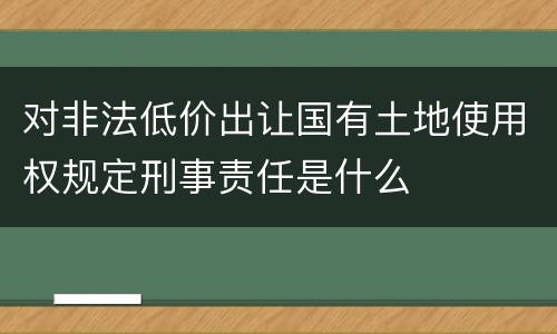 对非法低价出让国有土地使用权规定刑事责任是什么