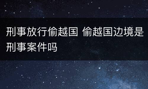 刑事放行偷越国 偷越国边境是刑事案件吗