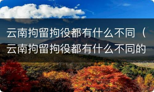 云南拘留拘役都有什么不同（云南拘留拘役都有什么不同的地方）