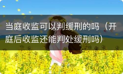 当庭收监可以判缓刑的吗（开庭后收监还能判处缓刑吗）