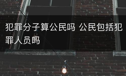 犯罪分子算公民吗 公民包括犯罪人员吗
