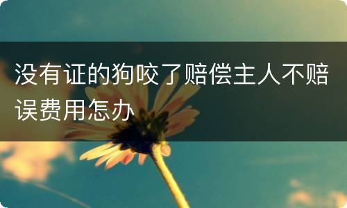 没有证的狗咬了赔偿主人不赔误费用怎办