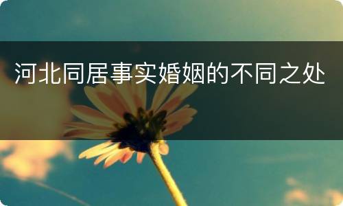 河北同居事实婚姻的不同之处