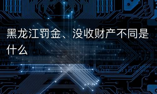 黑龙江罚金、没收财产不同是什么
