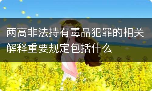 两高非法持有毒品犯罪的相关解释重要规定包括什么