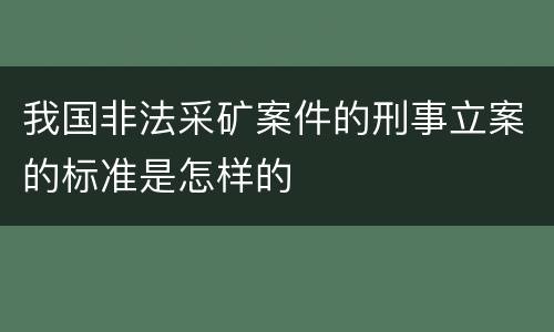我国非法采矿案件的刑事立案的标准是怎样的
