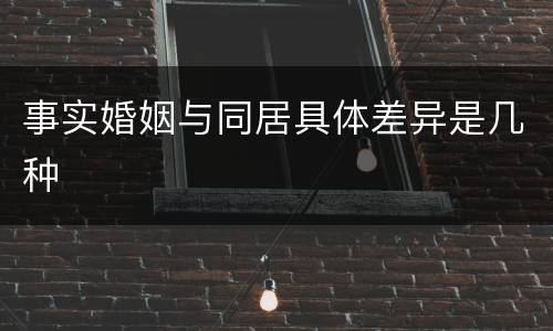 事实婚姻与同居具体差异是几种