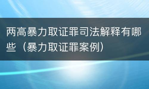 两高暴力取证罪司法解释有哪些（暴力取证罪案例）