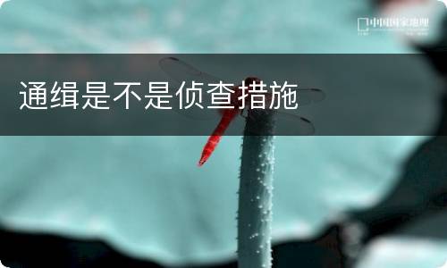 通缉是不是侦查措施