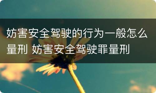 妨害安全驾驶的行为一般怎么量刑 妨害安全驾驶罪量刑