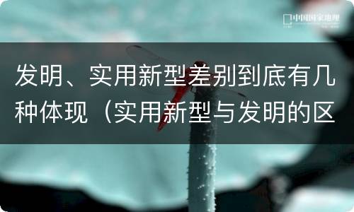 发明、实用新型差别到底有几种体现（实用新型与发明的区别有哪些）
