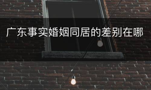 广东事实婚姻同居的差别在哪