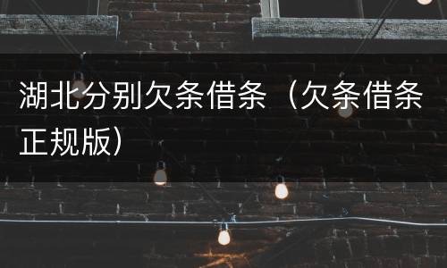 湖北分别欠条借条（欠条借条正规版）