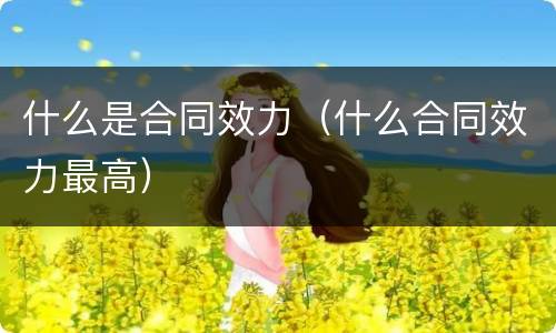 什么是合同效力（什么合同效力最高）