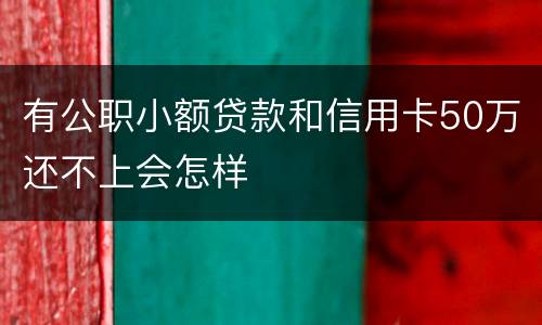有公职小额贷款和信用卡50万还不上会怎样