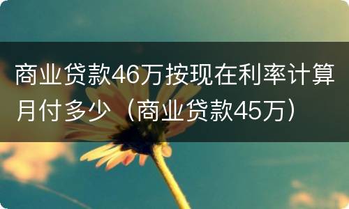 商业贷款46万按现在利率计算月付多少（商业贷款45万）