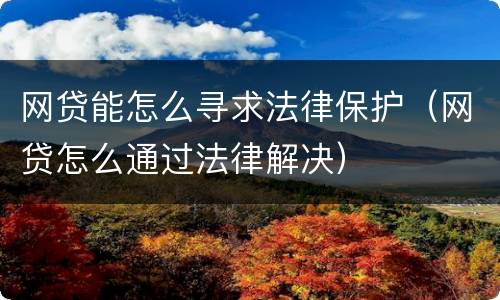 网贷能怎么寻求法律保护（网贷怎么通过法律解决）