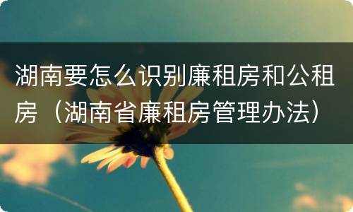 湖南要怎么识别廉租房和公租房（湖南省廉租房管理办法）