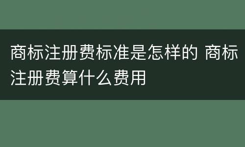 商标注册费标准是怎样的 商标注册费算什么费用