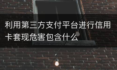 利用第三方支付平台进行信用卡套现危害包含什么