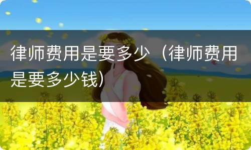 律师费用是要多少（律师费用是要多少钱）
